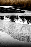Winter Descending (Long Lake) 20141108.jpg