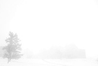 Cornell in Snow 20150116.jpg