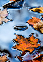 Autumn Tranquility (13th Lake Brook) 20151011.jpg