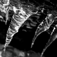 Untitled Icicles 20150123.jpg