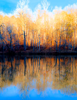 Autumn Reflections 20141207.jpg