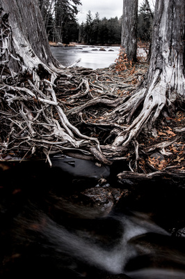 Island of Trees (Buttermilk Falls, Long Lake( 20141109.jpg