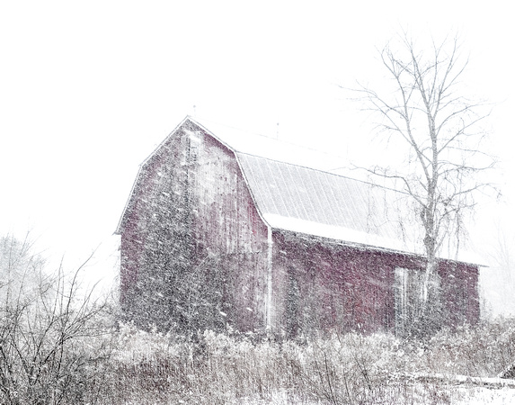 Snowy Barn 20150116.jpg