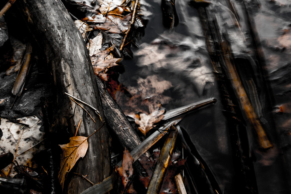 Turbulent Leaves 20141125-2.jpg