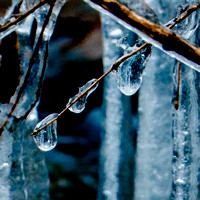 Untitled ice drops 20141220.jpg